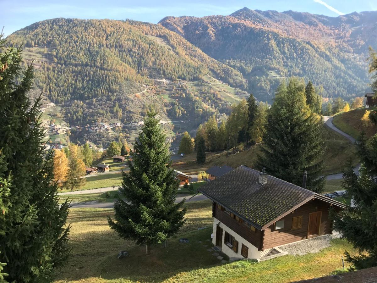Chalet Le Fertin La Tzoumaz Zewnętrze zdjęcie